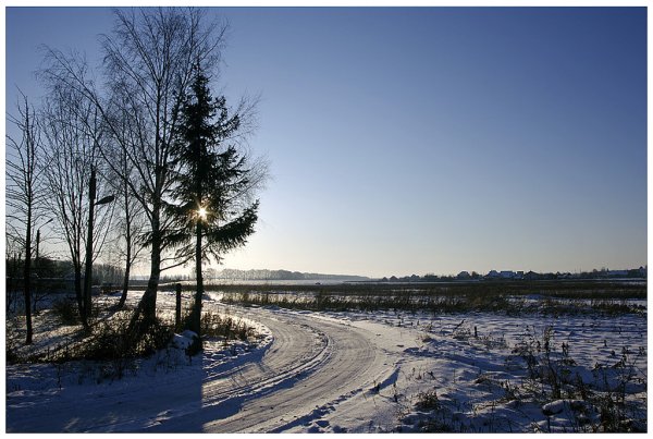 В Украине посевы озимых зерновых под урожай 2010 года почти на 3% превышают прошлогодние - Госкомстат