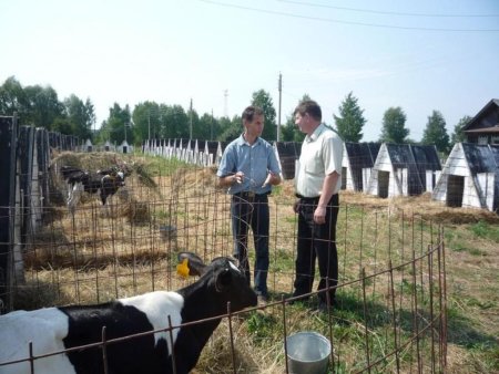 Северная Осетия: Т.Д.Мамсуров о развитии молочной области