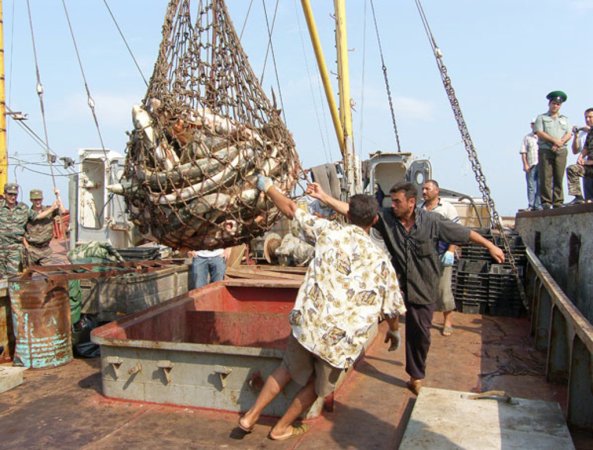 Пограничники задержали в Каспии азербайджанский корабль
