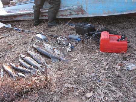 Вылов рыбы растет, внешняя торговля активизируется.