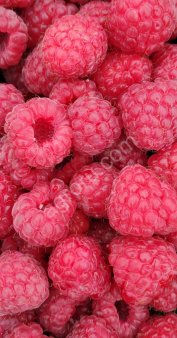 Малина под переработку