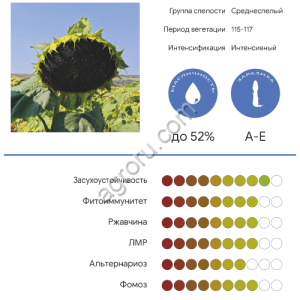 Гектор, КЛП (технология Клеарфилд Плюс)