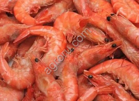 Свежемороженная Черноморская рыба