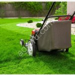 Дорожный газон Откос