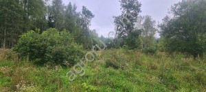 Земельный участок под Питомник