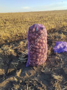Картофель от КФХ