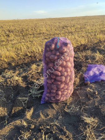 Картофель от КФХ