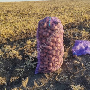 Картофель от КФХ