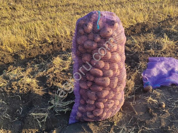 Картофель от КФХ