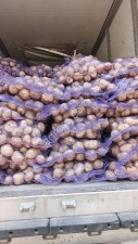 Картофель продовольственный новый урожай сорт Гала