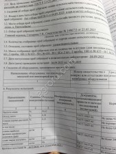 Райграс однолетний