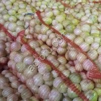 Лук репчатый очищенный сетка