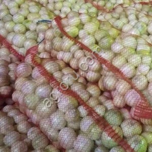 Лук репчатый очищенный сетка