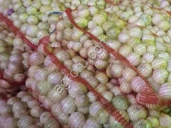 Лук репчатый очищенный сетка