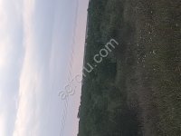 земля сельхоз назначения