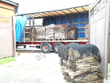 Продаю: Шкуры крс брак, обрезки для переработки в белок.