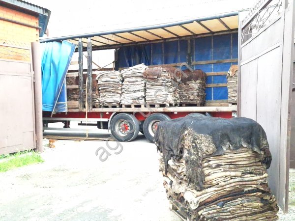 Продаю: Шкуры крс брак, обрезки для переработки в белок.