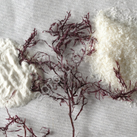 Агар Агар 900 FoodChem