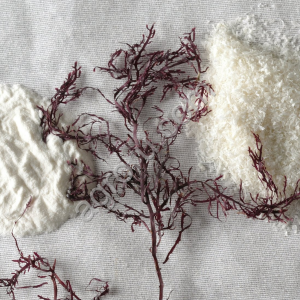 Агар Агар 900 FoodChem