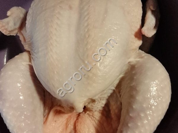 Мясо бройлера