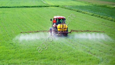 Регуляторы роста растений