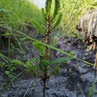 Готовый бизнес под ключ