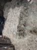 Гранулированное сено из эспарцета, клевера, люцерны