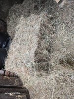 Гранулированное сено из эспарцета, клевера, люцерны