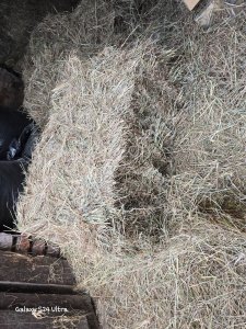 Гранулированное сено из эспарцета, клевера,люцерны