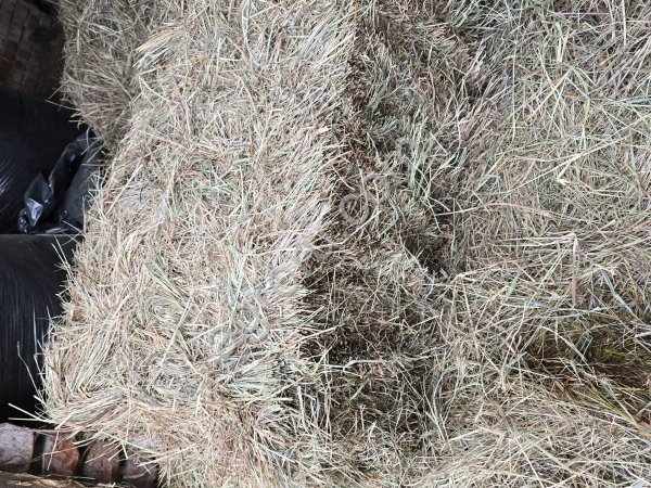 Гранулированное сено из эспарцета, клевера,люцерны