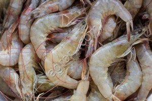 Свежемороженая форель ПСГ, ПБГ, Стейки, Филе; Креветка искусственно выращенная Ваннамей; Тунец консервированный; Марлин консервированный