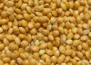 Производитель реализует крупа пшенная (пшено) ГОСТ
