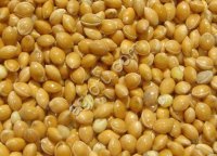 Производитель реализует крупа пшенная (пшено) ГОСТ