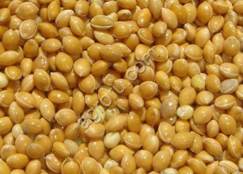 Производитель реализует крупа пшенная (пшено) ГОСТ 