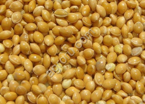 Производитель реализует крупа пшенная (пшено) ГОСТ 