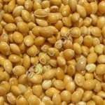 Производитель реализует крупа пшенная (пшено) ГОСТ