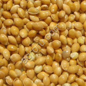 Производитель реализует крупа пшенная (пшено) ГОСТ