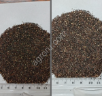 Семена подорожника