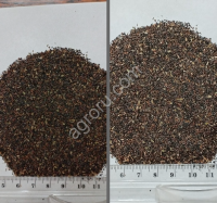 Семена подорожника