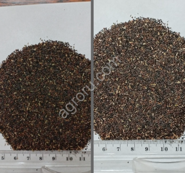 Семена подорожника