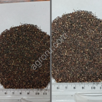 Семена подорожника