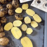 Картофель свежий Коломба от производителя