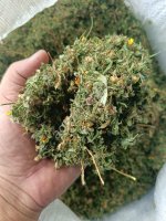 Курильский чай