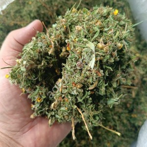 Курильский чай