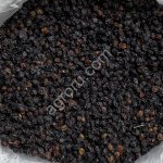 Бузина черная