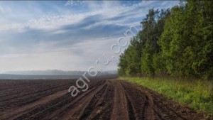 Готовый фермерский бизнес поля земля сады водоёмы техника сарайи гаражы боксы