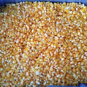 Кукуруза зерно