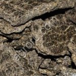 Жмых подсолнечный 35-36% протеина