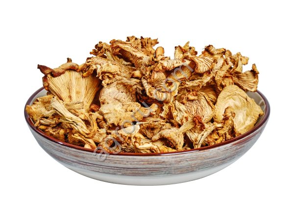 лисичку сушеную