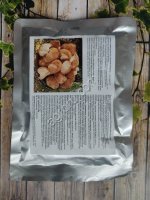 Экстракт гриба Герициум гребенчатый (Hericium erinaceus)